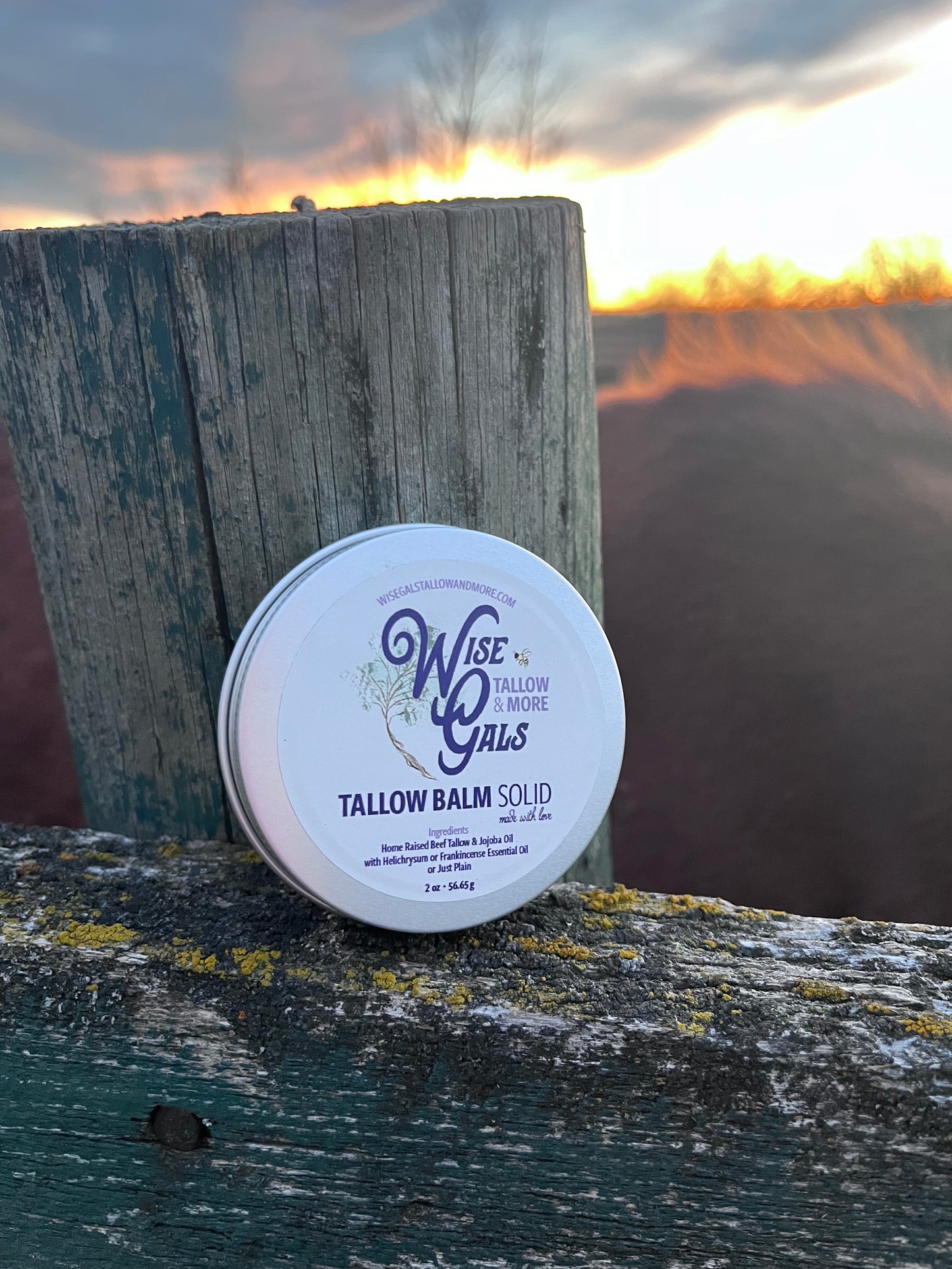 Wise Gals Tri Bundle